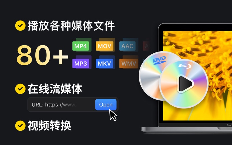 全能视频播放器_高清音频视频播放器