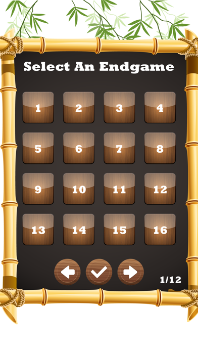 中国象棋 - 象棋大师 2020