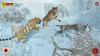 野生雪老虎野生动物园动物
