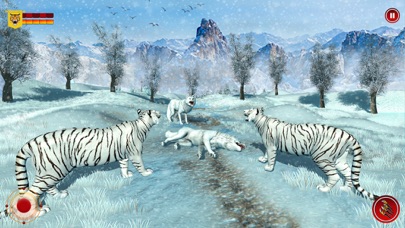 野生雪老虎野生动物园动物
