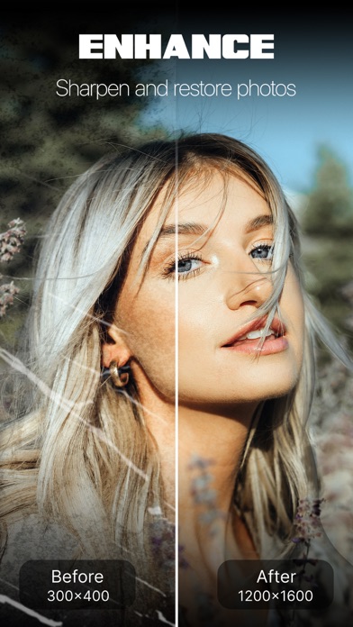 PICFIX：魔术AI艺术生成器