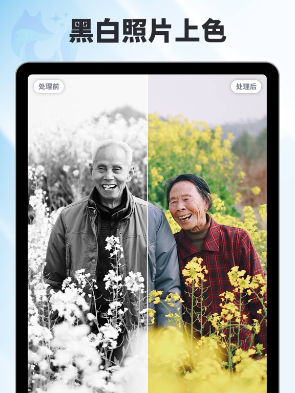 AI老照片修复照片高清翻新视频高清修复_狸清照