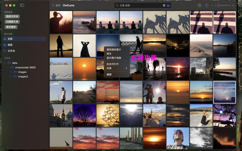 OwlLens_智能图像检索助手