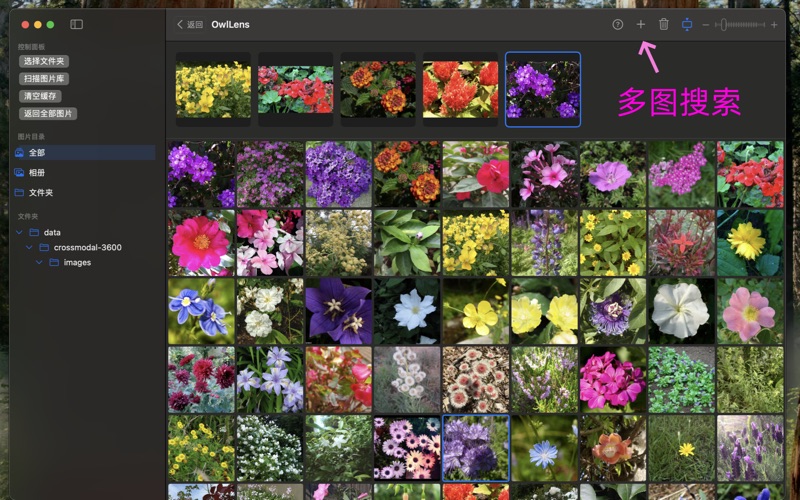 OwlLens_智能图像检索助手
