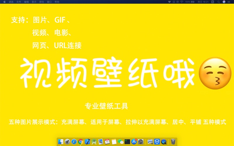 动态壁纸_专业的视频墙纸工具