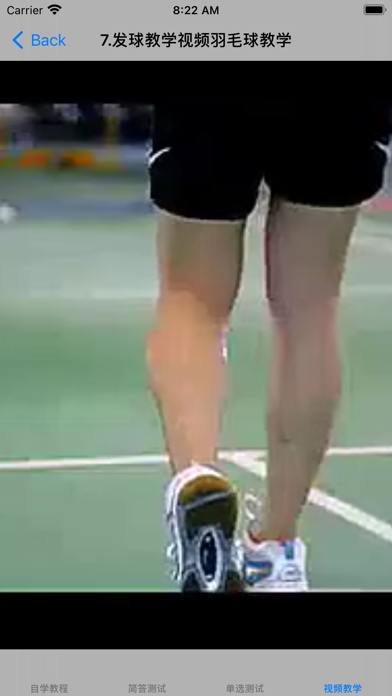 羽毛球教学视频大全