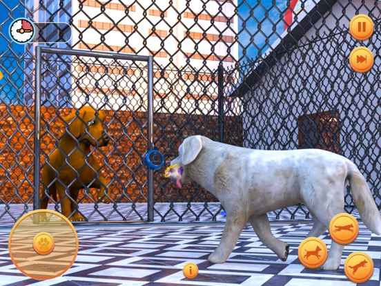 怀孕的宠物狗模拟器 3d