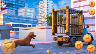 怀孕的宠物狗模拟器 3d