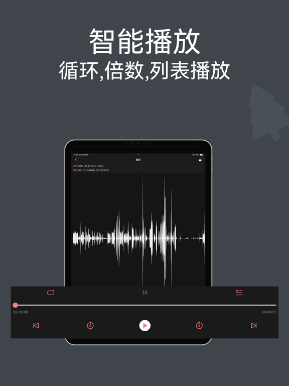 录音机 - 录音软件专业版