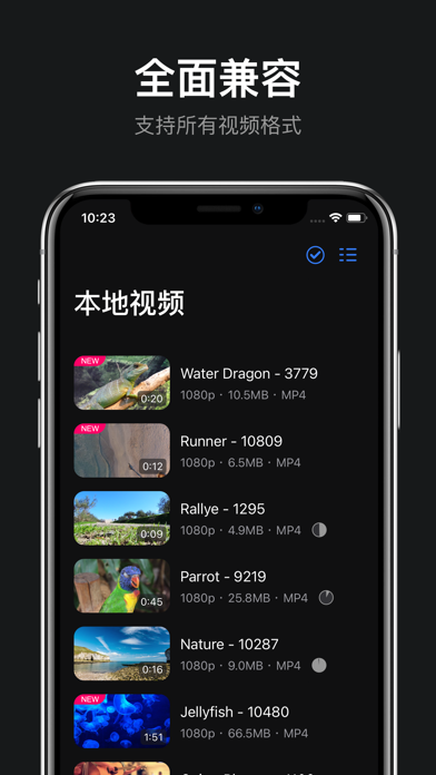 rPlayer: 全能的VR视频播放器
