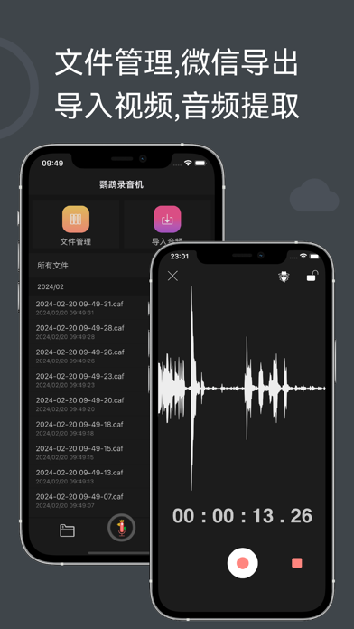 录音机 - 录音软件专业版