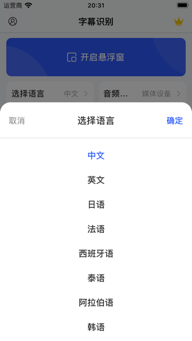 字幕识别-视频字幕翻译识别语音识别翻译器