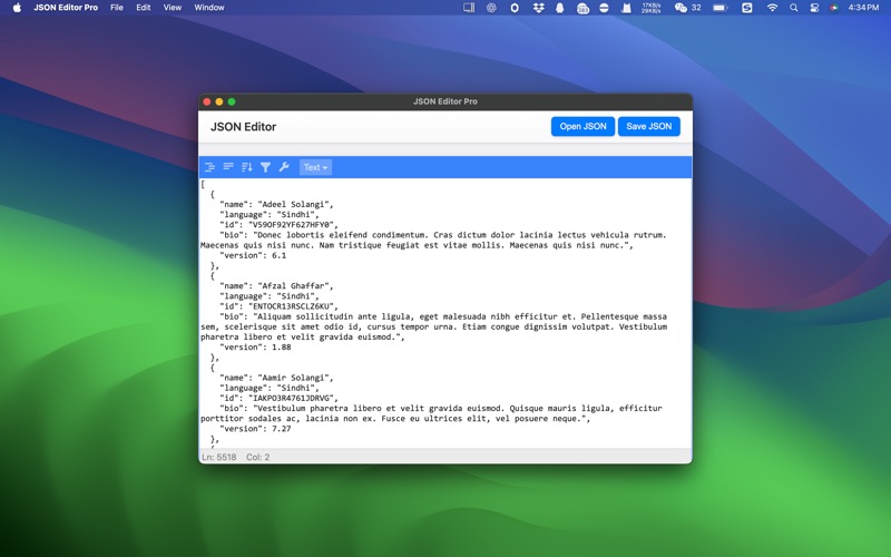 JSON编辑器专业版