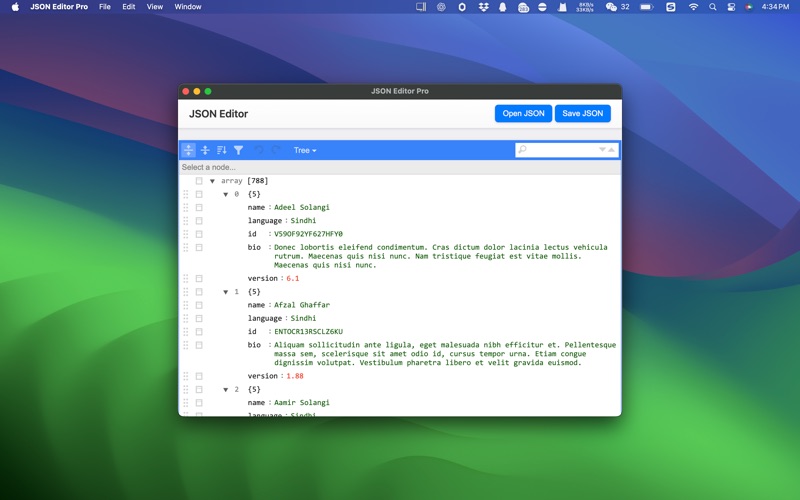 JSON编辑器专业版