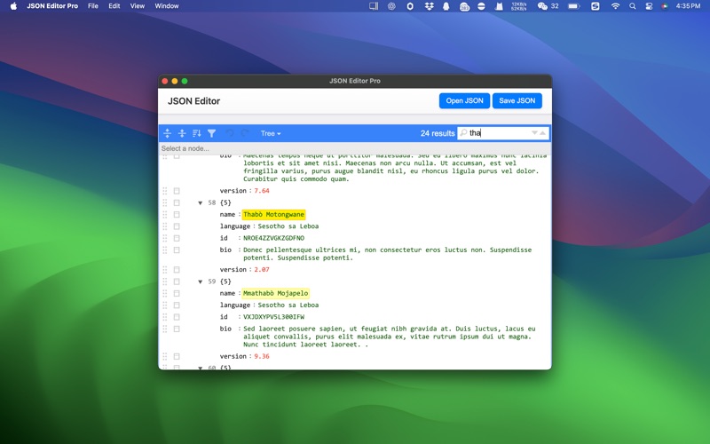 JSON编辑器专业版