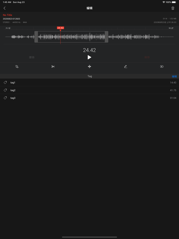 语音笔记 PRO - 录音机 AI笔记