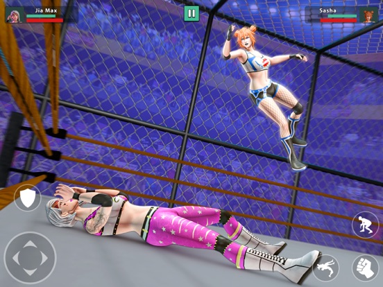 摔跤比赛：职业冠军