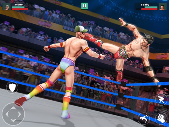 摔跤比赛：职业冠军