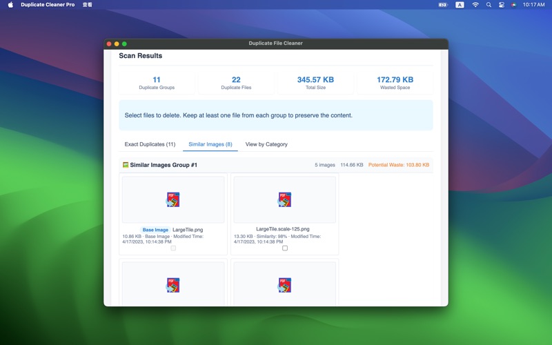 重复文件清理专业版