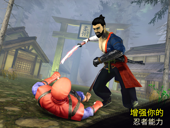 武士 战士 - 忍者 刺客 格斗游戏