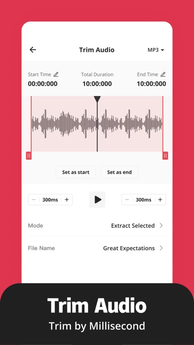 MP3转换器 - 格式猫音频转换器&视频转音频
