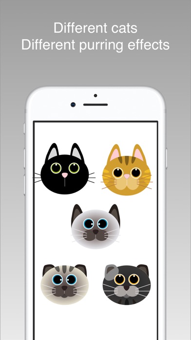 宁静与猫: RonRon