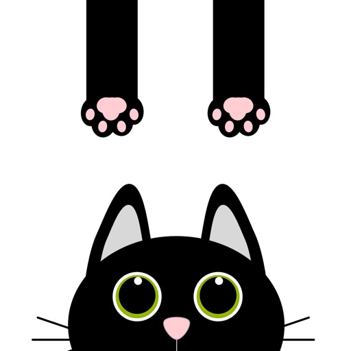 宁静与猫: RonRon