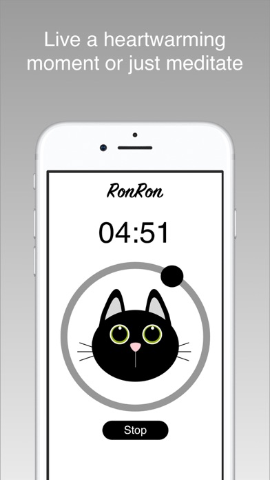 宁静与猫: RonRon