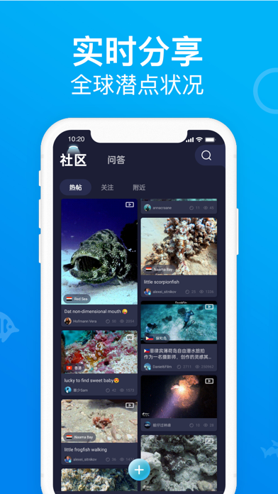 Dive+ : 全球潜水社区