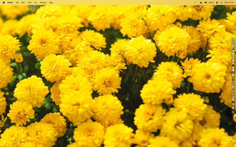 WallBot3壁纸助手