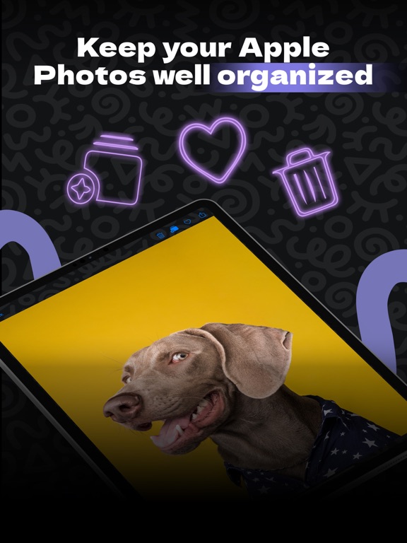 FindMySnap探索查找并分享照片