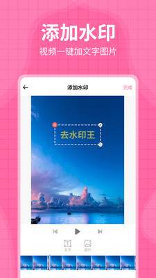 去水印王