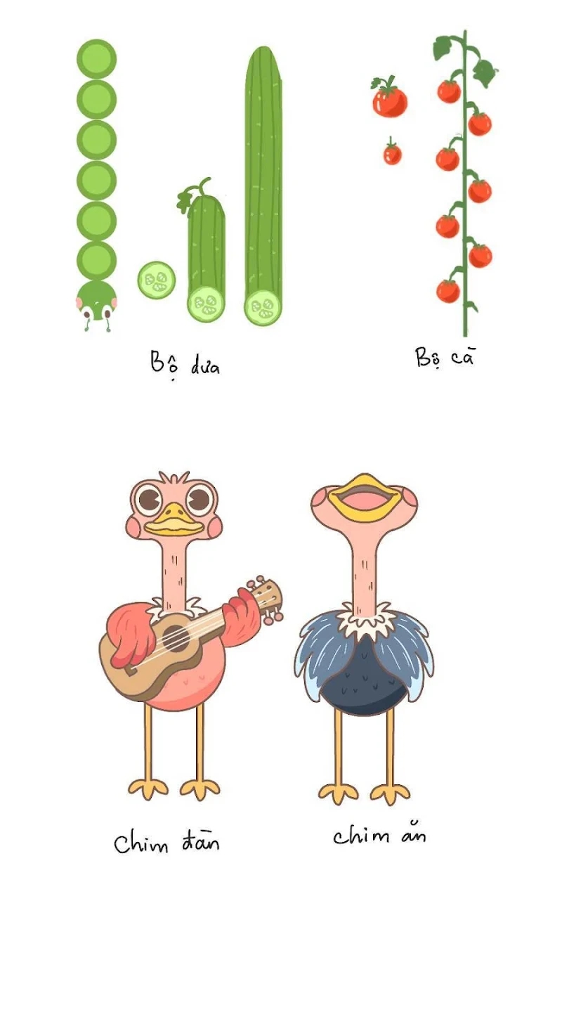 鸟儿二重唱游戏下载v1.0安卓版