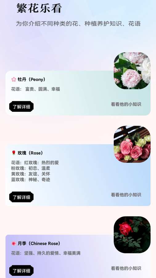 繁花乐看