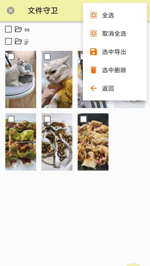 文件守卫