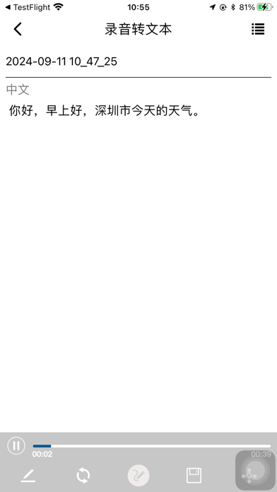 VoiceTracer会议AI手表