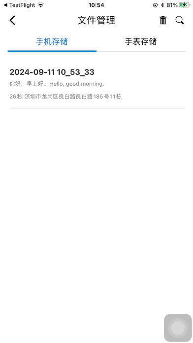 VoiceTracer会议AI手表