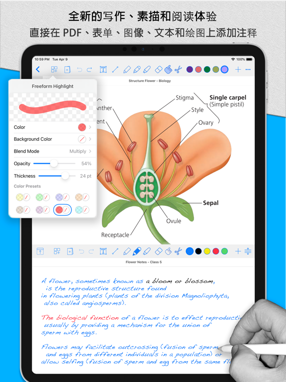 Notes Writer Pro: 笔记和 PDF 标注