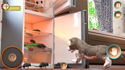 我可爱的宠物猫模拟器游戏