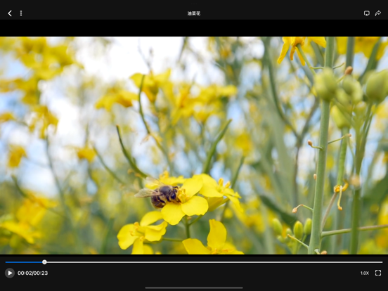 加密相册 - 照片视频文件保险箱