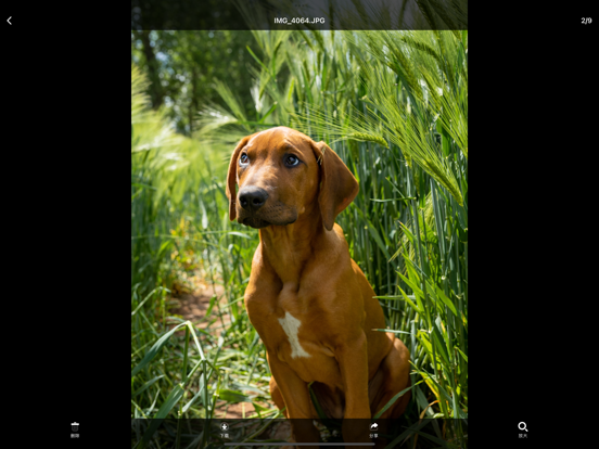 加密相册 - 照片视频文件保险箱