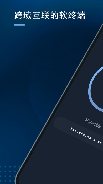 天域_企业组网专用