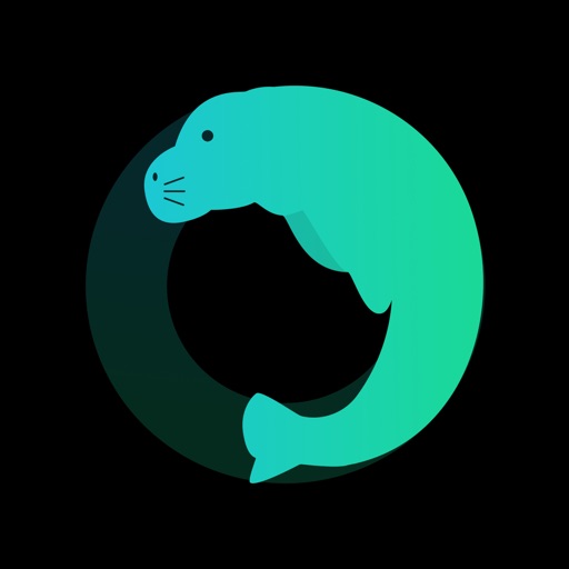 海牛加速器-海外华人留学生回国网络加速器追剧直播听歌国服游戏