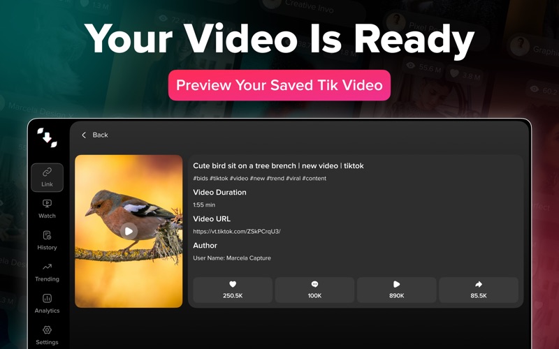 视频保存器ReelsVideoSaver
