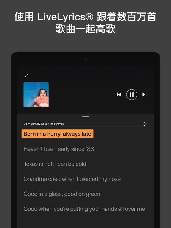SoundHound∞ 音乐搜索识别和播放器