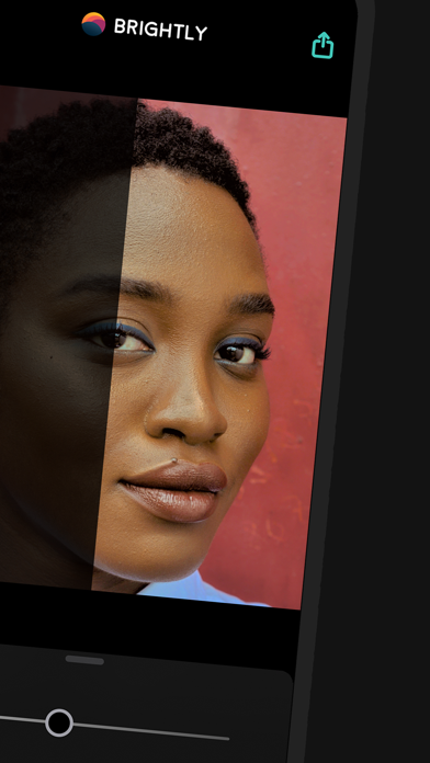 Brightly_修复过暗的照片