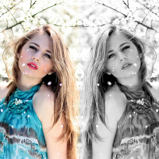 Photo Mirror - 镜子魔发照片编辑器连拍