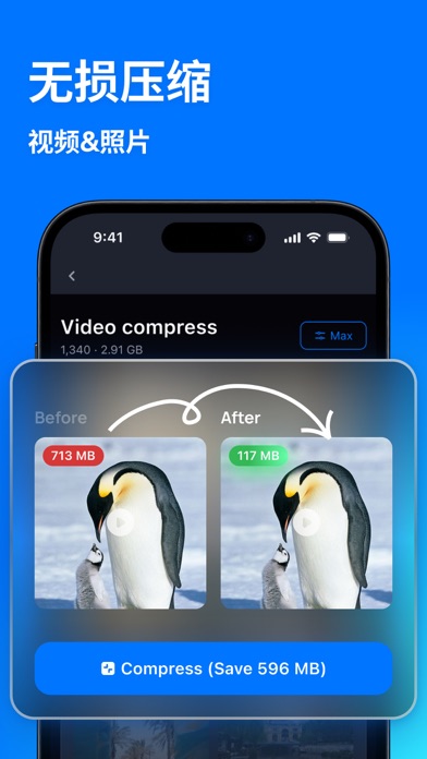 AI 智能清理大师: Cleanup Pro