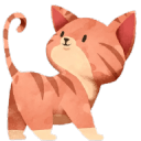 吉猫·晓记