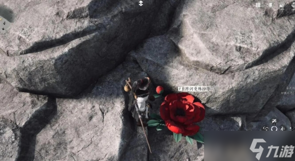 燕云十六声一花中愿任务怎么做